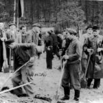 Arbeitseinsatz 1954
