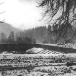 Entstehung/Bauphase 1956